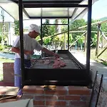 Fonte Angelica 3*