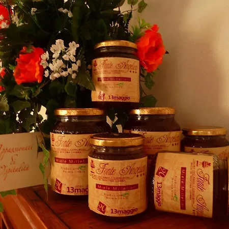 Fonte Angelica Hotel