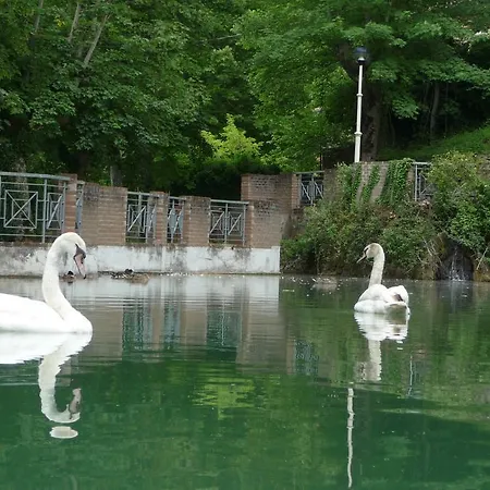 Hotel Fonte Angelica 3*