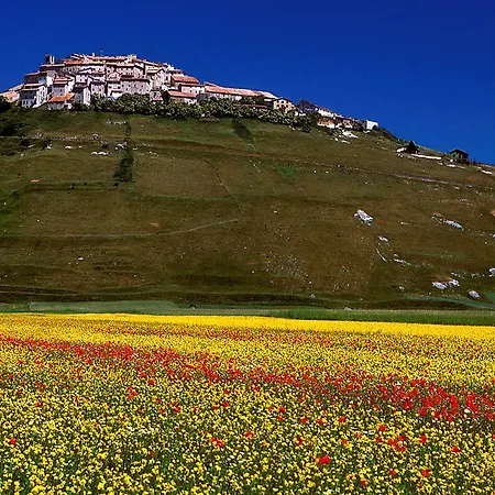 Fonte Angelica Nocera Umbra