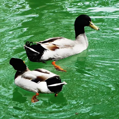 Fonte Angelica Hotel Nocera Umbra