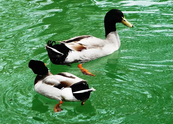 Fonte Angelica Hotel Nocera Umbra